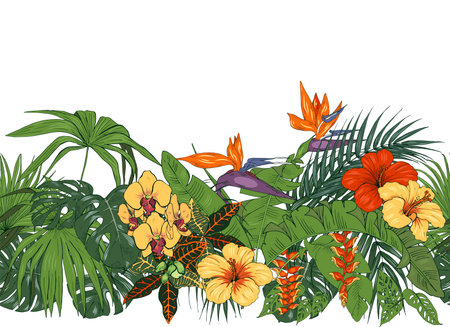 Tropical flowers and leaves, orchids, hibiscus, Heliconia and strelitzia, palm and monstera leaves, seamless pattern, vector illustrationのイラスト素材
