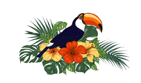 Toucan and tropical plants, vector illustrationのイラスト素材