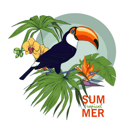Toucan and tropical plants, vector illustrationのイラスト素材