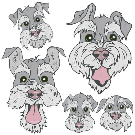 Dogs of Scottish Terrier  breed faces with different emotions, funny, sad, curious and offended faces of Terriers, vector illustrationのイラスト素材