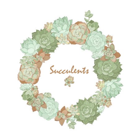 Wreath of succulents of different types on a white background, vector illustrationのイラスト素材
