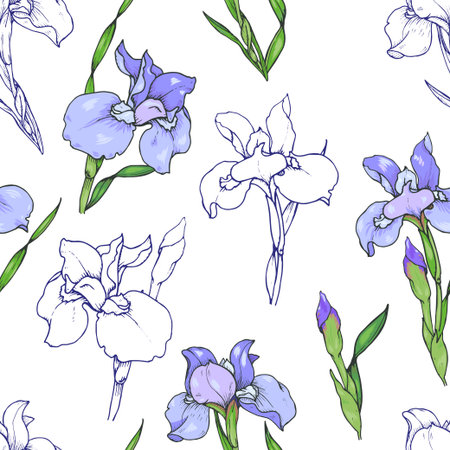 Iris flowers, purple and blue irises, seamless vector illustrationのイラスト素材