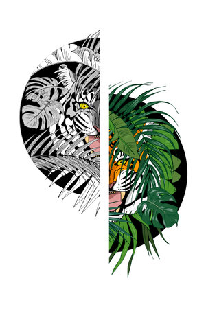 Tiger in the jungle, predator among the leaves lurking, print for clothing design, vector...