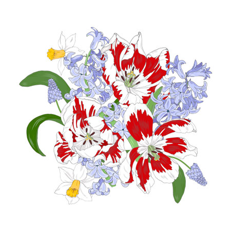 Spring flowers, composition of tulips, daffodils and hyacinths on a white background, vector illustrationのイラスト素材