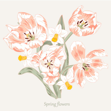 Composition of spring flowers, pink tulips and daffodils, vector illustrationのイラスト素材