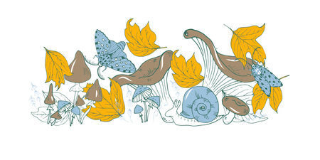 mushrooms, butterflies and autumn leaves, autumn in the forest, vector illustrationのイラスト素材