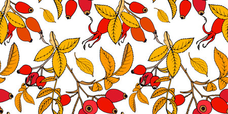 autumn berries and yellow rosehip leaves, seamless vector illustrationのイラスト素材