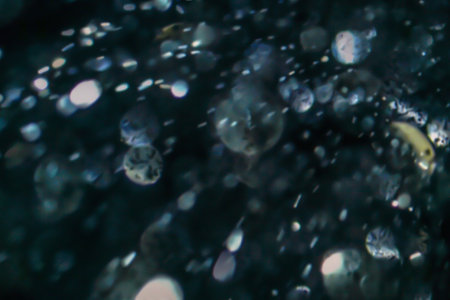 Crystal glitter blinking defocused light. Abstract bokeh light on black background.