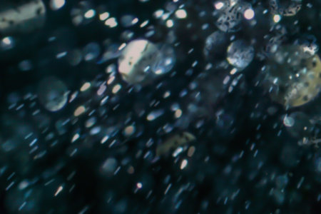 Crystal glitter blinking defocused light. Abstract bokeh light on black background.の写真素材