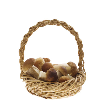 Squirrel's breds in wicker basketの写真素材