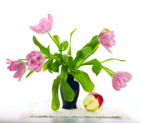 Light still-life with curly tulips and applesの写真素材