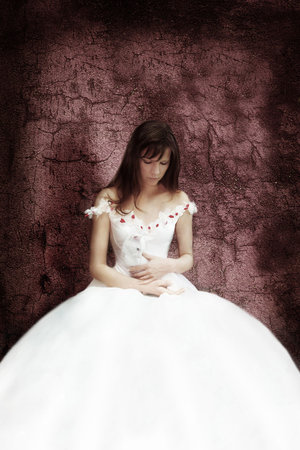 The bride with the white catの写真素材
