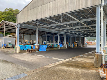Auction market at Japanese fishing port.