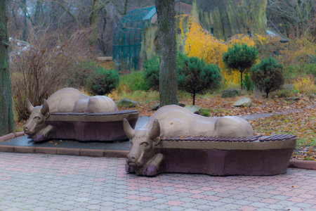benches in the form of bulls in the park in autumnの写真素材