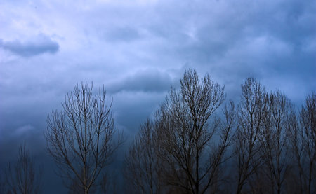 brutto tempoの写真素材