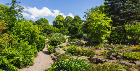 A lush green landscape in a public botanical garden in Lund, Swedenの写真素材