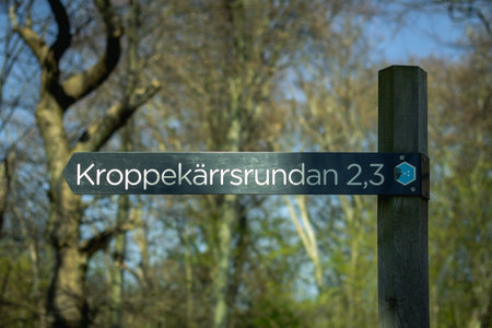 A path sign in the Swedish national park called Dalby SÃ¶derskog. It displays the name of the path...