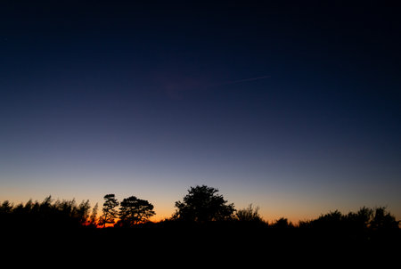 The sun has almost set, the orange glow gives good contrast to the dark blue sky. Trees are like silhouettes towards this background.の写真素材