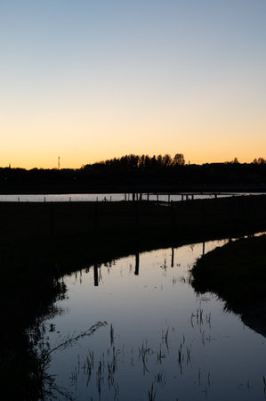 The sun setting above a river like landscape with silhouettes in the city of Lund, Swedenの写真素材
