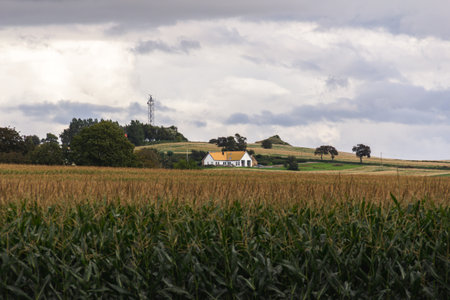 A modern home is embedded in the agricultural fields in southern Swedenの写真素材