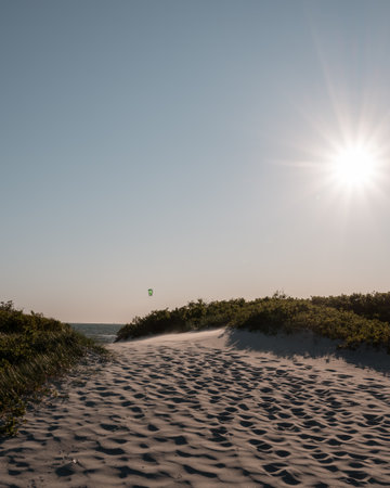 Sun flare above beach with footsteps and bushes in the coastal town of Lomma, Swedenの写真素材