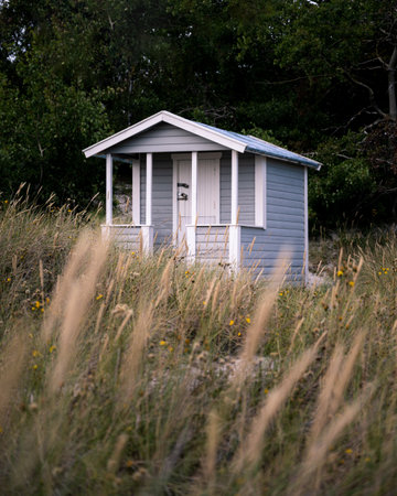 A blue abandoned beach hut in the tall grass on the beach in the village Falsterbo, Swedenの写真素材