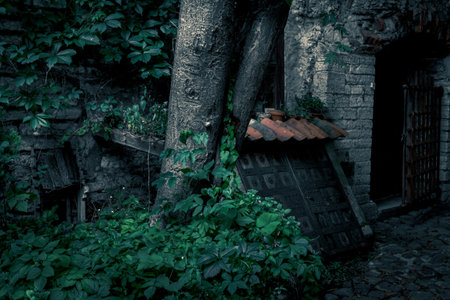 Prison cellar doors in abandoned moody dark historic stone ruin settingの写真素材