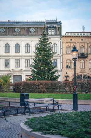 A big Christmas tree placed on a town square in the city center of the university town Lund Sweden on a cold winter dayの写真素材