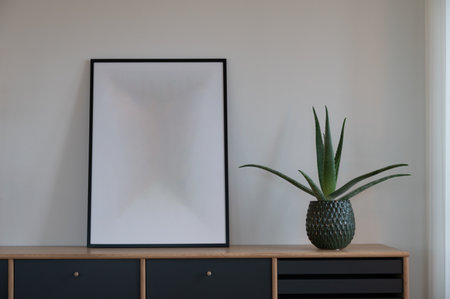 Empty frame and aloe vera in flower pot on modern side boardの写真素材