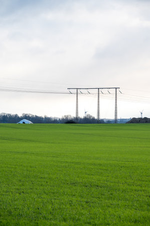 Lush green fields and power line pylon in rural area during winter in SkÃ¥ne, Swedenの写真素材