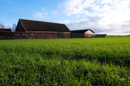 Landscape of red barns in the middle of a lush green field during winter sunlight in southern Swedenのeditorial素材
