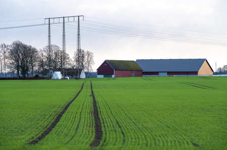 Red barns under electricity lines in front of green fields during winter in southern Swedenのeditorial素材