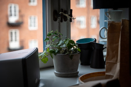 Messy home decor in old traditional window with a house plant in a potの写真素材