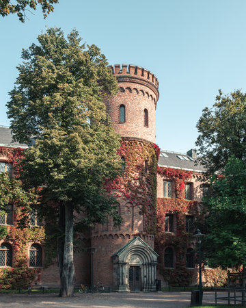 The facade of the medieval building Kungshuset covered in ivy during fall sunsetのeditorial素材