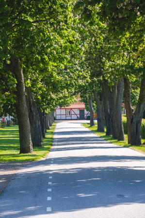 Empty rural road bordered with trees and half timbered house at the end in SkÃ¥ne Swedenの写真素材