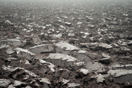 Mud and dirt frozen on farm field  during winterの写真素材