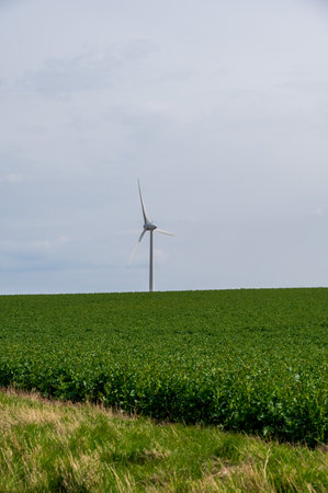 Single wind turbine in green farm field during summer in Swedenの写真素材
