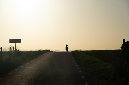 Woman riding a horse along rural road in sunset landscape in SkÃ¥ne Swedenの写真素材
