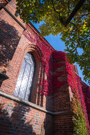 Sunlit facade and window of church Klosterkyrkan in university town of Lund Swedenのeditorial素材