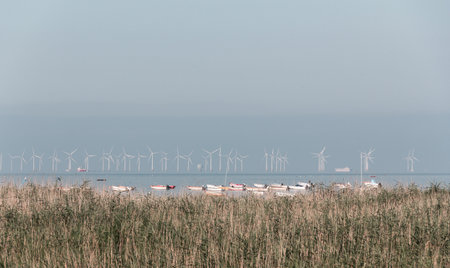 Lillgrund wind turbine park in Ãresundの写真素材