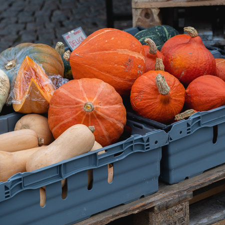 Pumpkins of different colors and shapes in plastic containers on a marketの写真素材