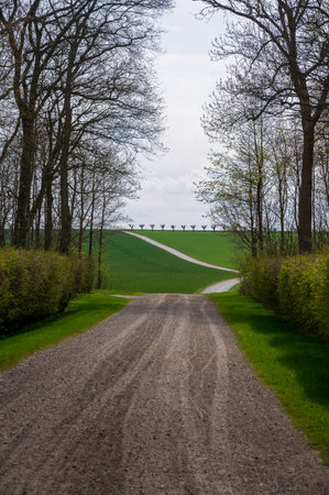 Winding gravel road through green hills in SkÃ¥ne (Scania) Swedenの素材 [FY310181842833]