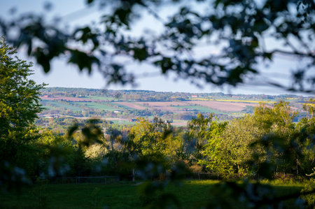 Panoramic view of the flat farmland landscape in SkÃ¥ne (Scania) Sweden during springの写真素材