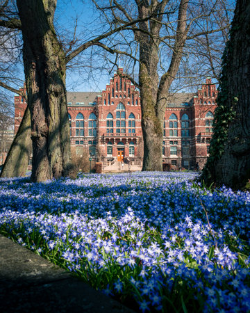 Lund university library in front of a bed of blue spring flowersの写真素材