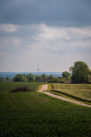 Rural gravel road through farm fields towards wind power plant in SkÃ¥ne (Scania) Swedenの写真素材