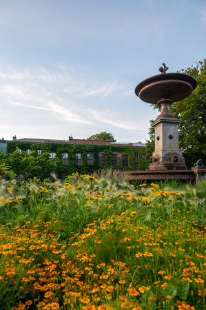 Orange and yellow flower field in front of big fountain at university area in Lund Sweden during summerの写真素材