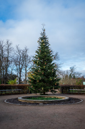 Christmas tree on town square on bright winter morning in Lund Swedenの写真素材