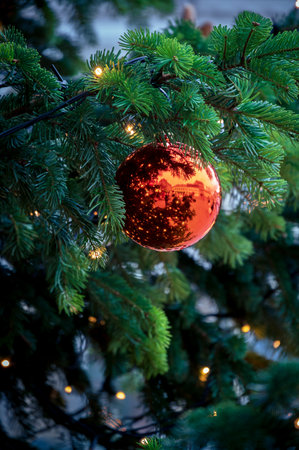 Closeup of red glass christmas bauble in green pine tree with lightsの写真素材