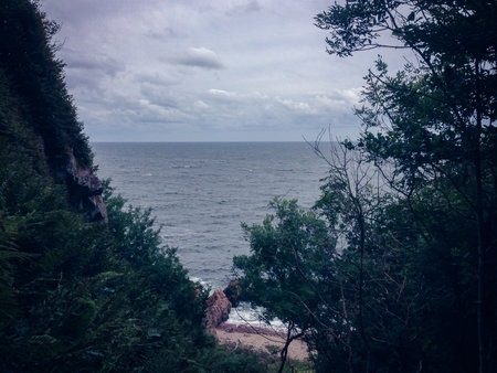 View from a forest covered cliff over the stormy sea in SkÃ¥ne Swedenの写真素材