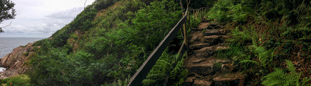 Panoramic view of the stone stair and the jungle like environment at Kullaberg SkÃ¥ne Swedenの写真素材